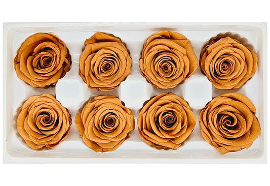 8 Preserved Roses In A Box- Retro Orange