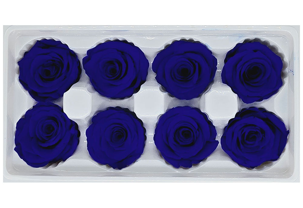 8 Preserved Roses In A Box- Sapphire