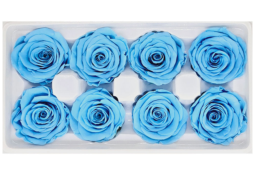 8 Preserved Roses In A Box- Sea Blue