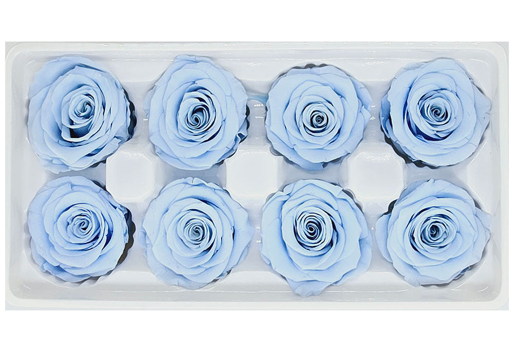 8 Preserved Roses In A Box- Sky Blue