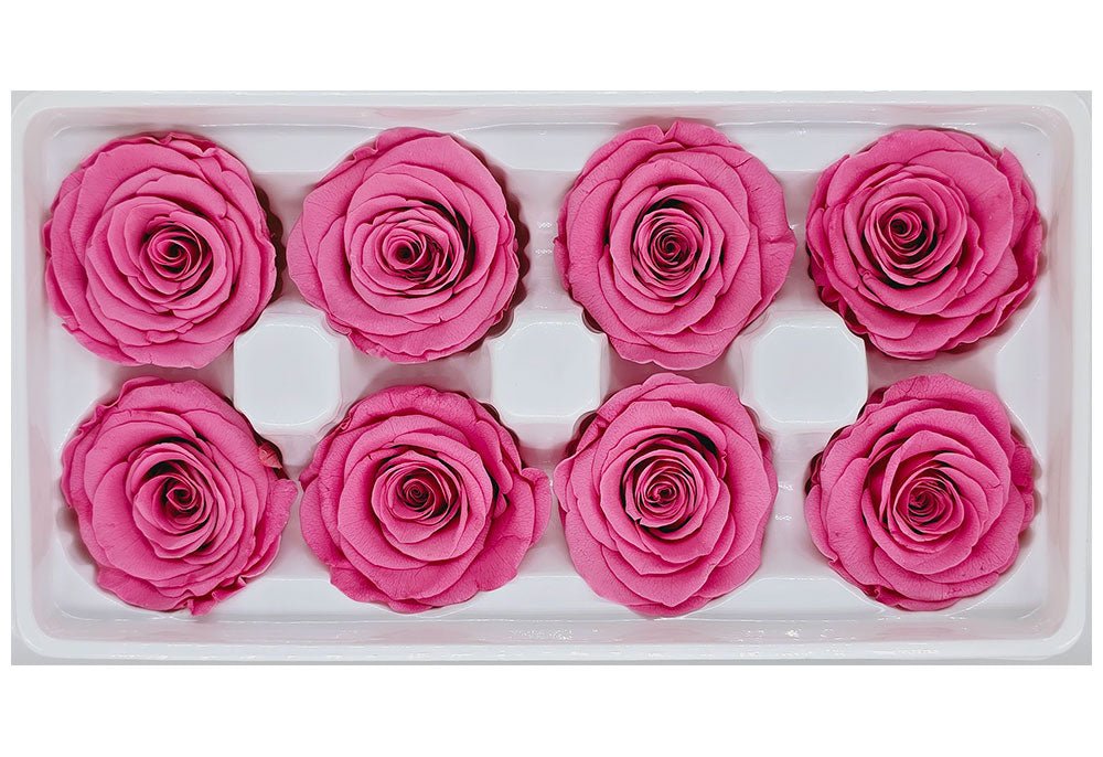 8 Preserved Roses In A Box- Sweet Pink