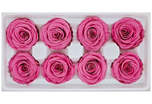 8 Preserved Roses In A Box- Sweet Pink