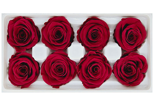 8 Preserved Roses In A Box- Tea Red