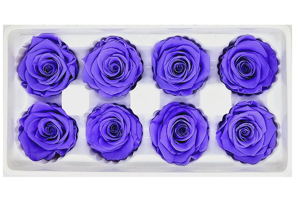 8 Preserved Roses In A Box- Violet