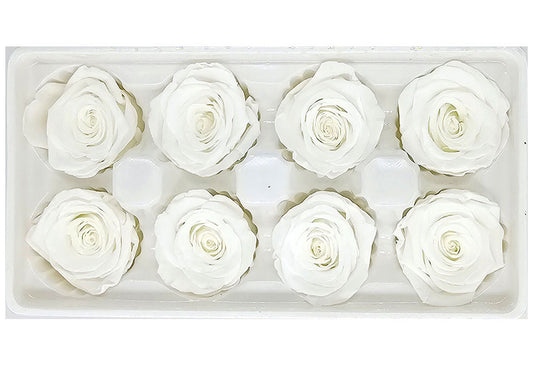 8 Preserved Roses In A Box- White