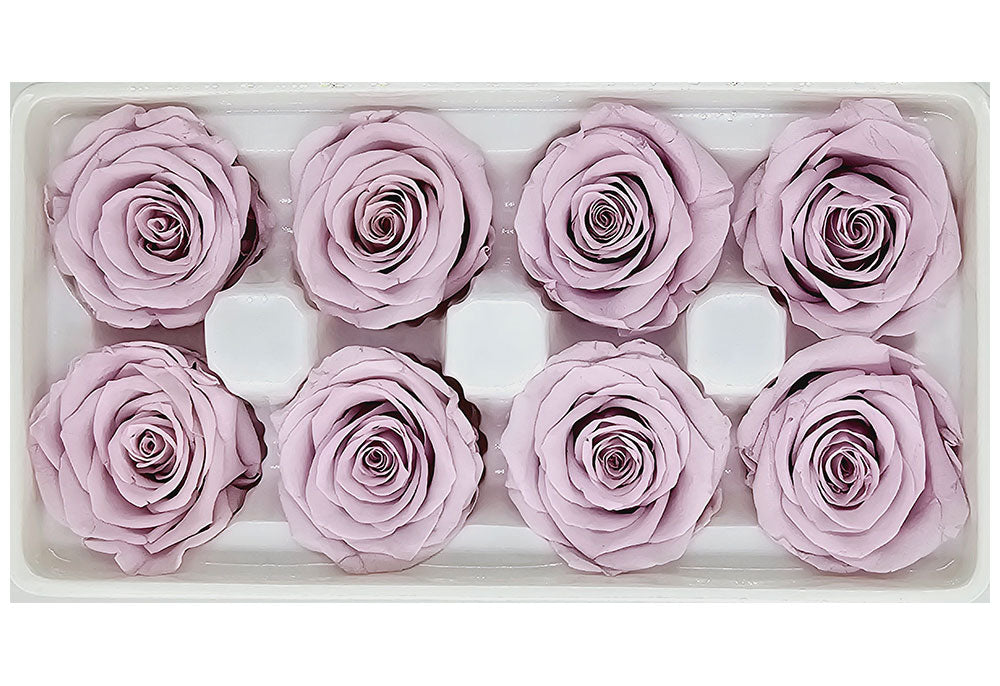 8 Preserved Roses In A Box- Yam Purple