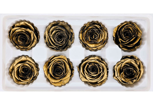 8 Preserved Roses In A Box - Satin Gold