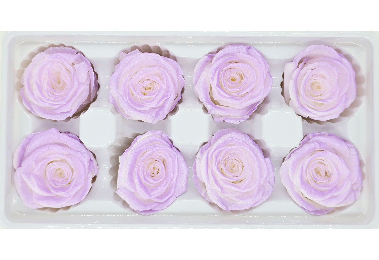 8 Preserved Roses In A Box - Satin Purple