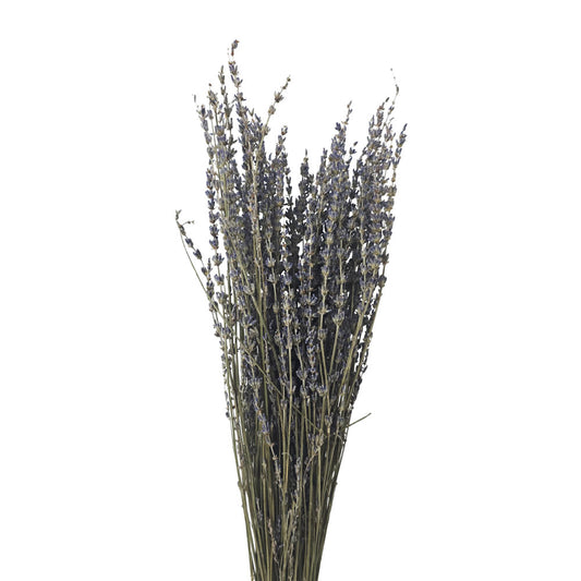 Dried Lavender #DF1 9