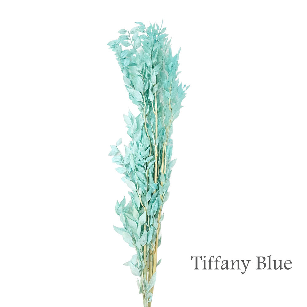 Dried Italian Ruscus #DFO16