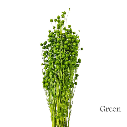 Dried Linseed #DFO22