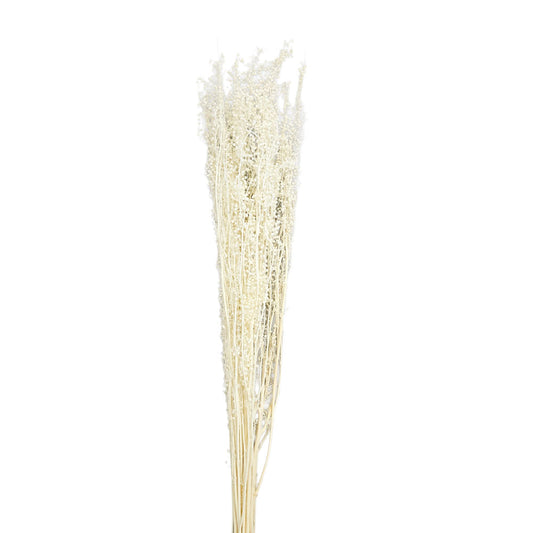Dried Foliage #DFO27