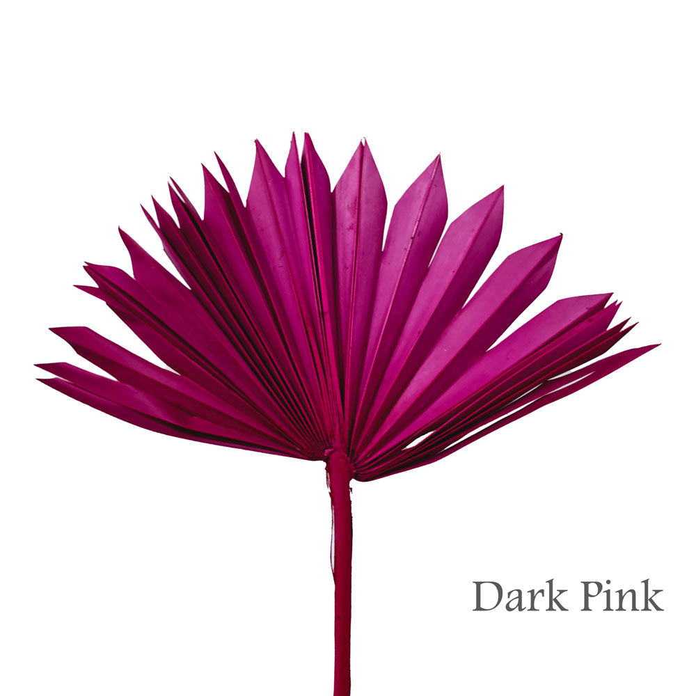 Dried Dyed Sun Palm Leave #DFO3