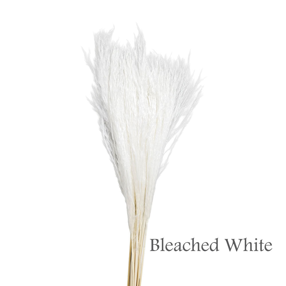 Dried Silver Grass #DFO30