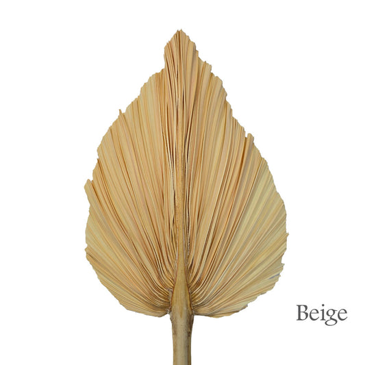 Dried Palm Leave (Large) #DFO7