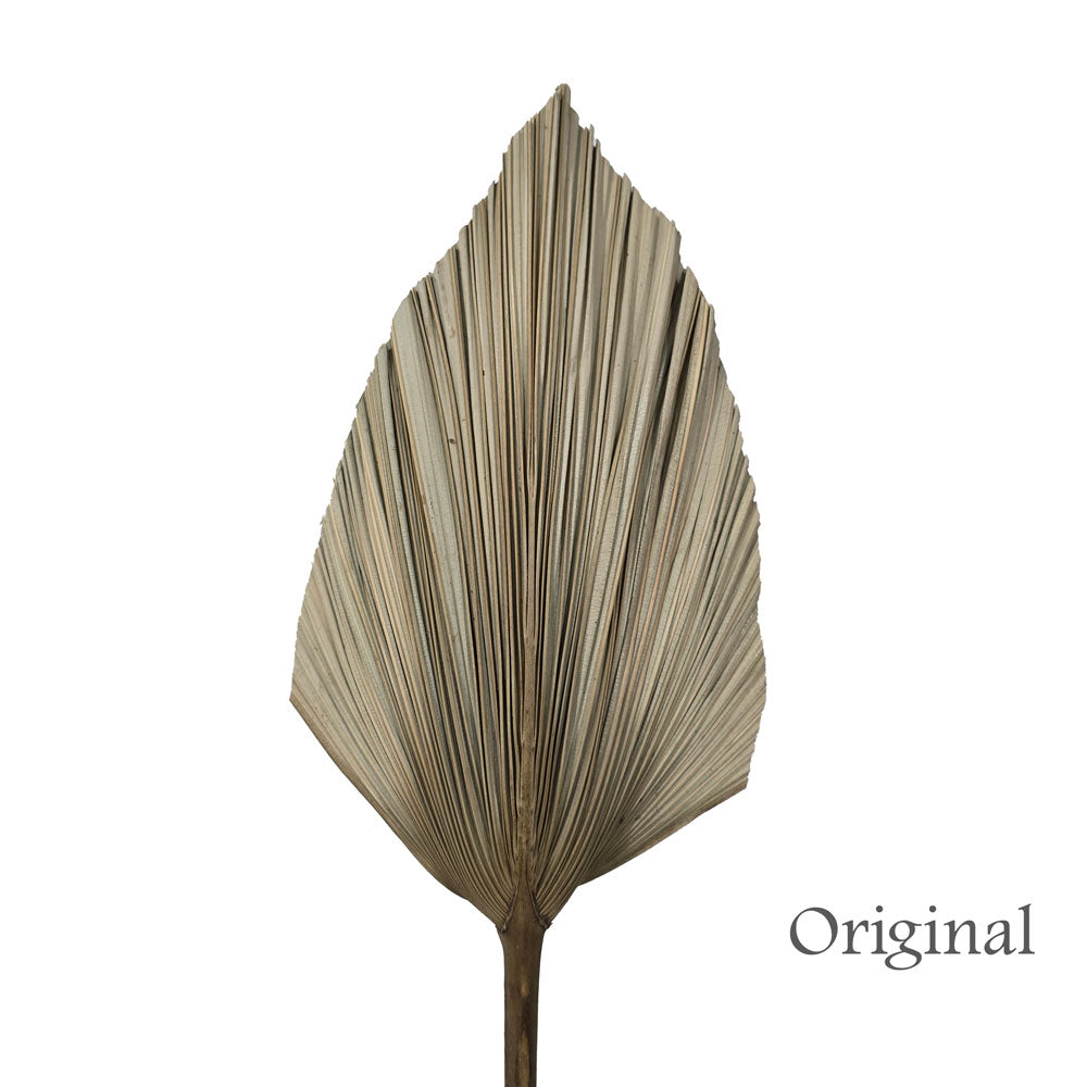 Dried Palm Leave (Large) #DFO7