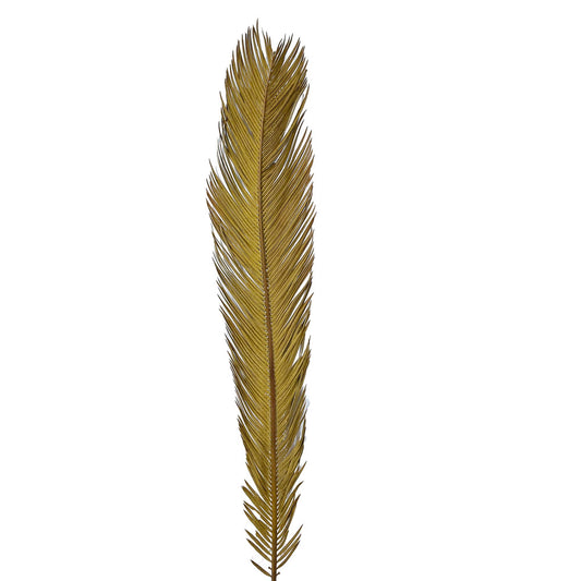 Dried Palm Leave #DFO2