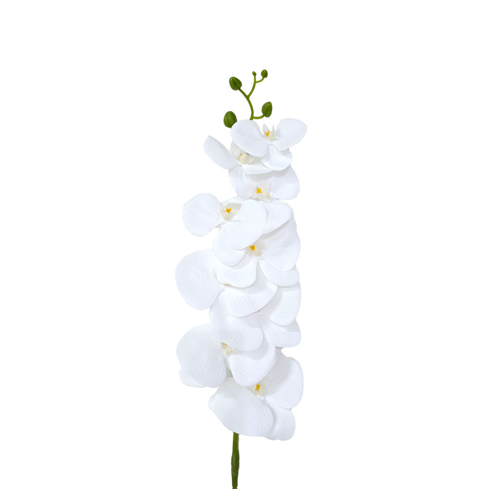 Faux Phalaenopsis Orchid #FF147