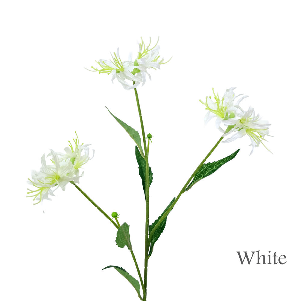 Faux Spider Lilies #FF178