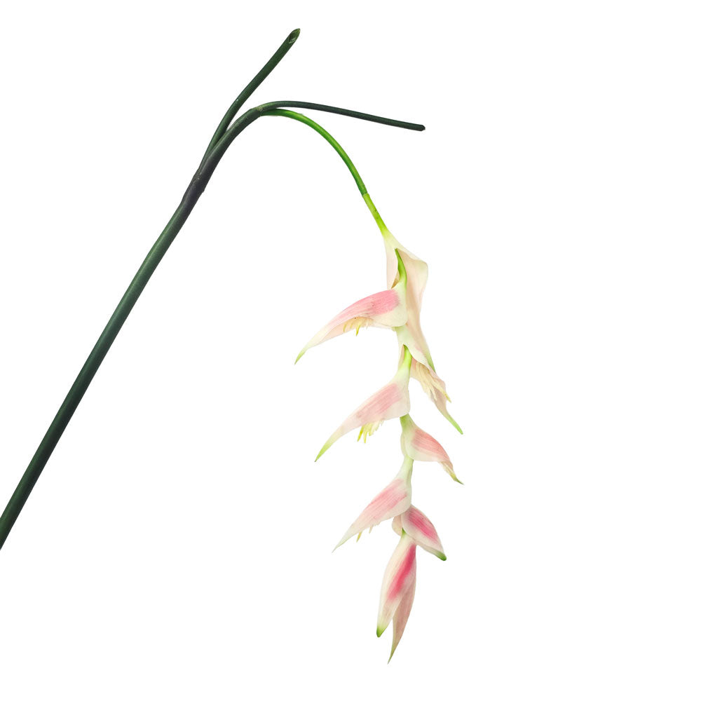 Faux Hanging Bird of Paradise Flower #FF196