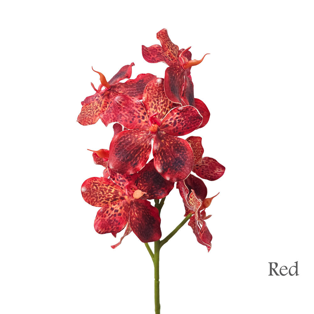 Faux Vanda Orchid Flower #FF214
