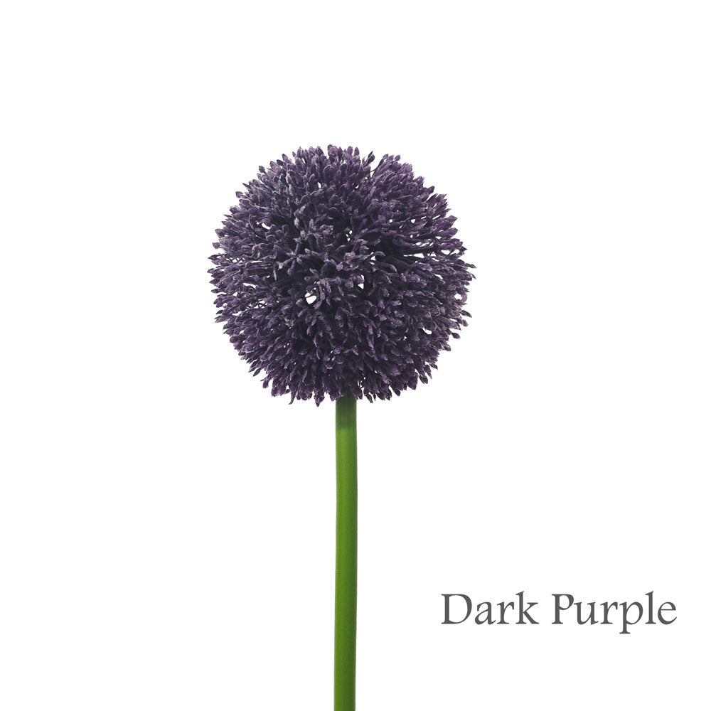 Faux Single Allium Ball #FF218