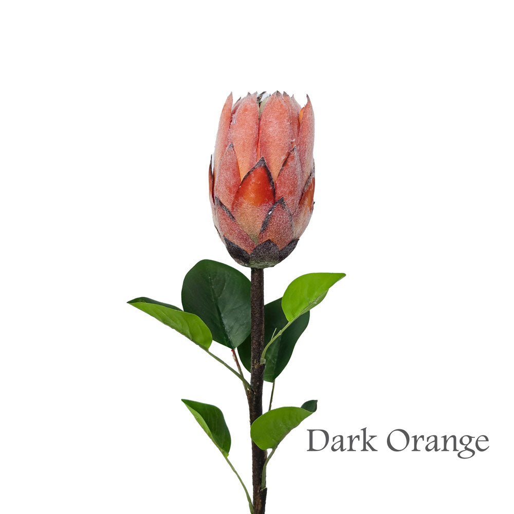 Faux King Protea #FF36