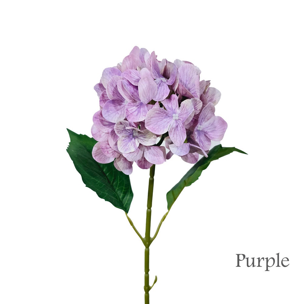 Faux 3D Printing Single Hydrangea #FF41