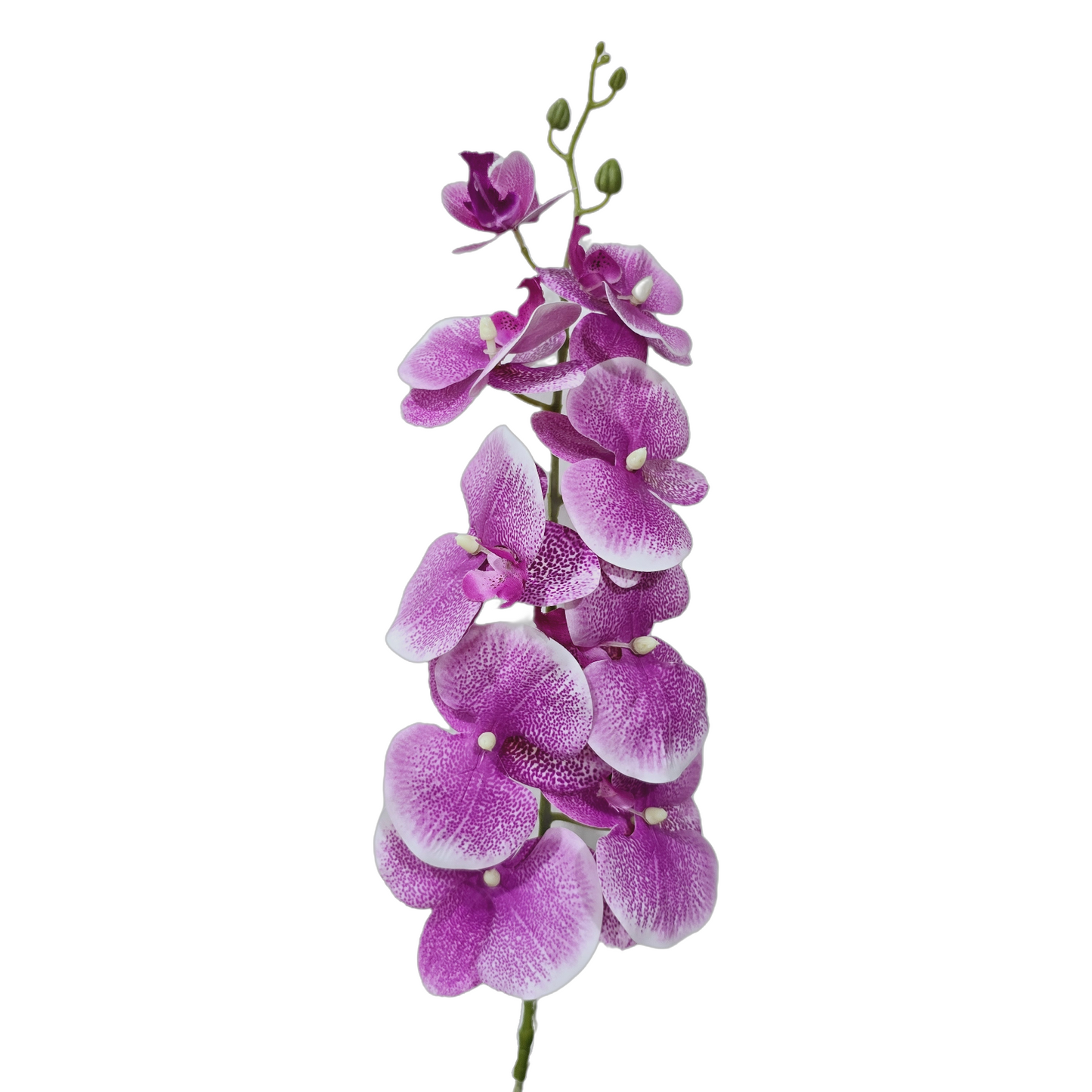 Faux Phalaenopsis Orchid #FF62