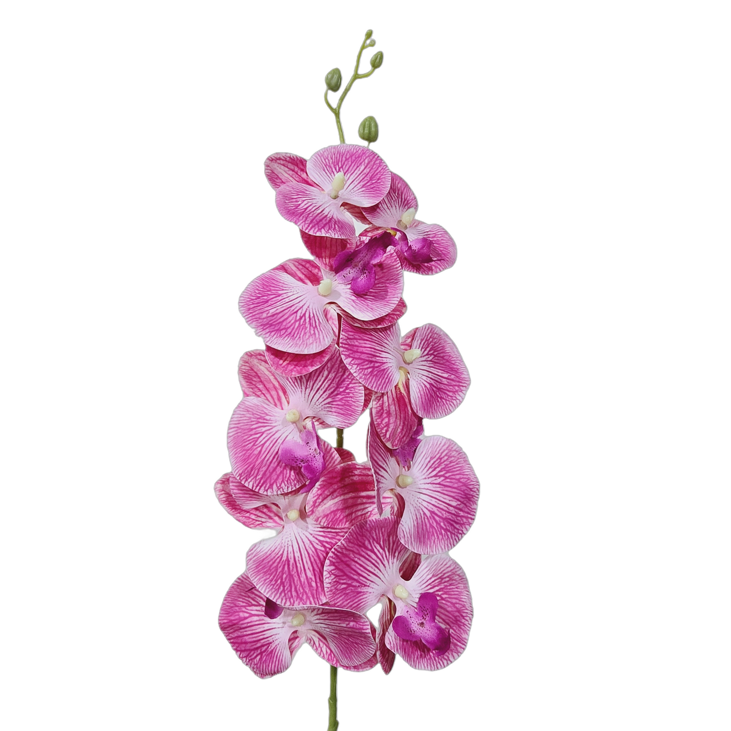 Faux Phalaenopsis Orchid #FF64