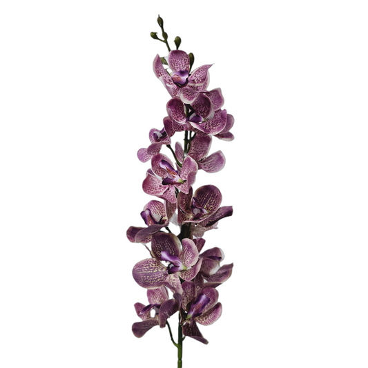 Faux Phalaenopsis Orchid #FF65