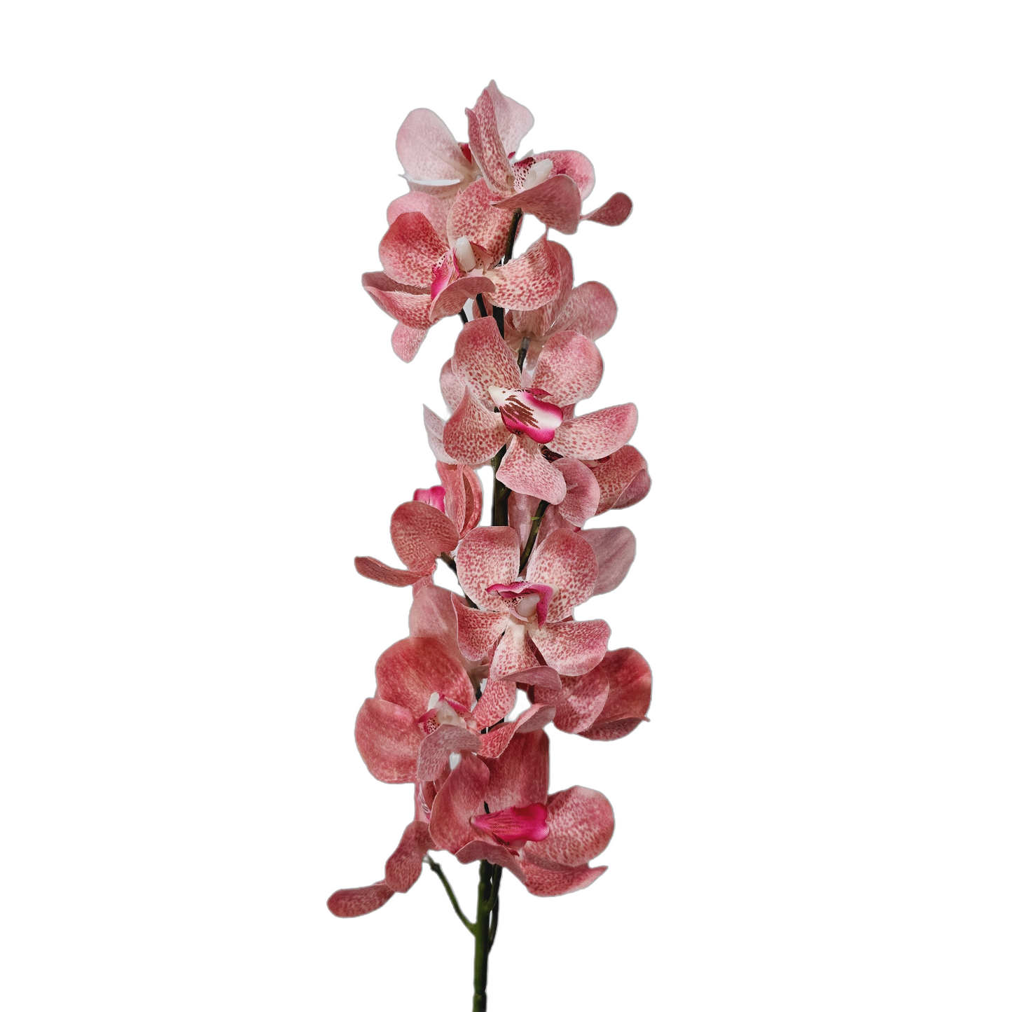 Faux Phalaenopsis Orchid #FF66