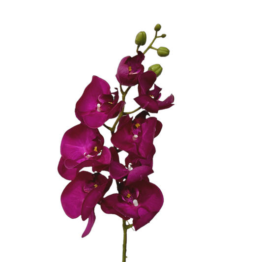 Faux Phalaenopsis Orchid #FF69