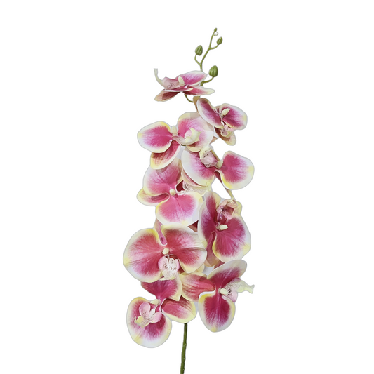 Faux Phalaenopsis Orchid #FF70