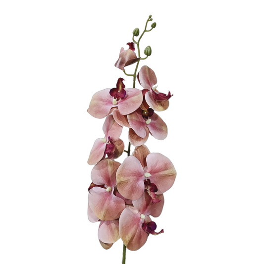 Faux Phalaenopsis Orchid #FF74