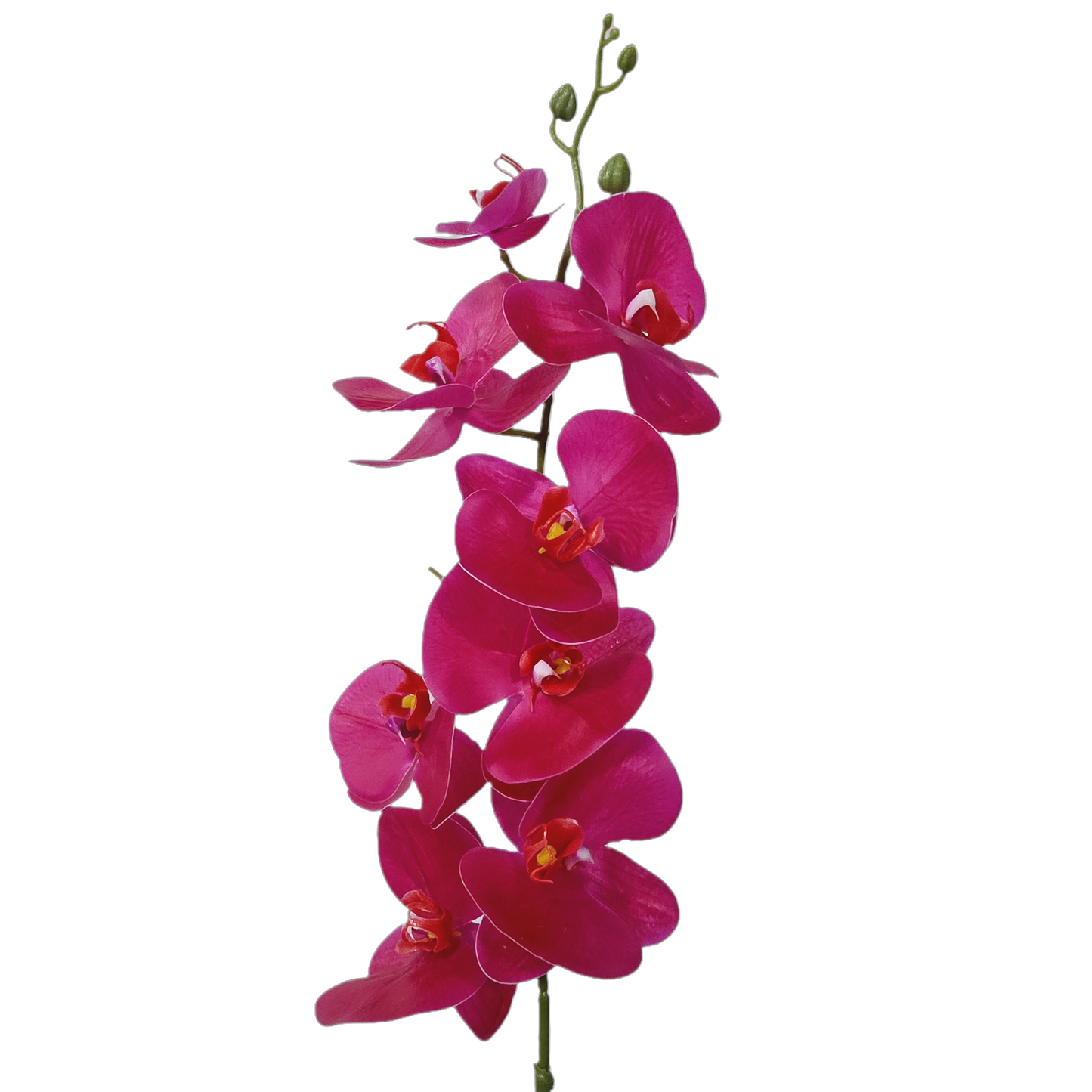 Faux Phalaenopsis Orchid #FF75