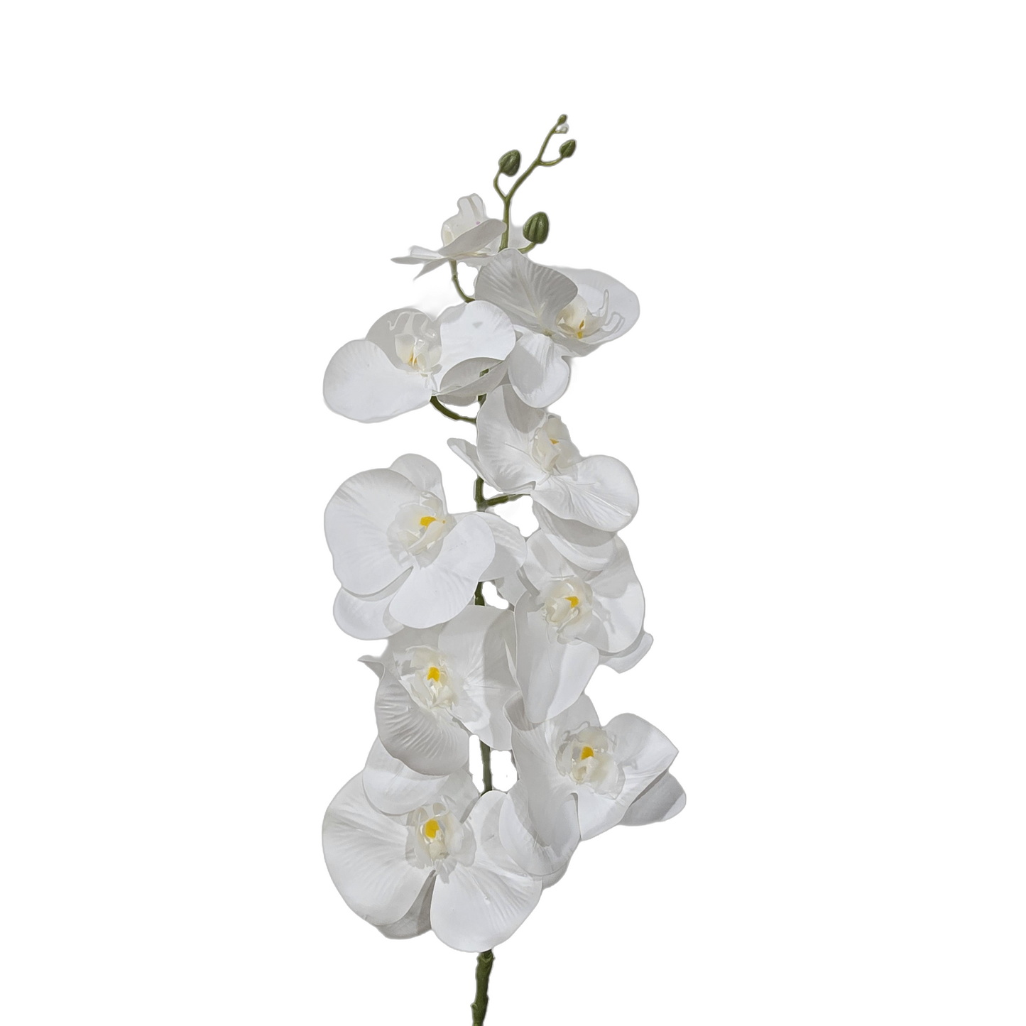 Faux Phalaenopsis Orchid #FF77