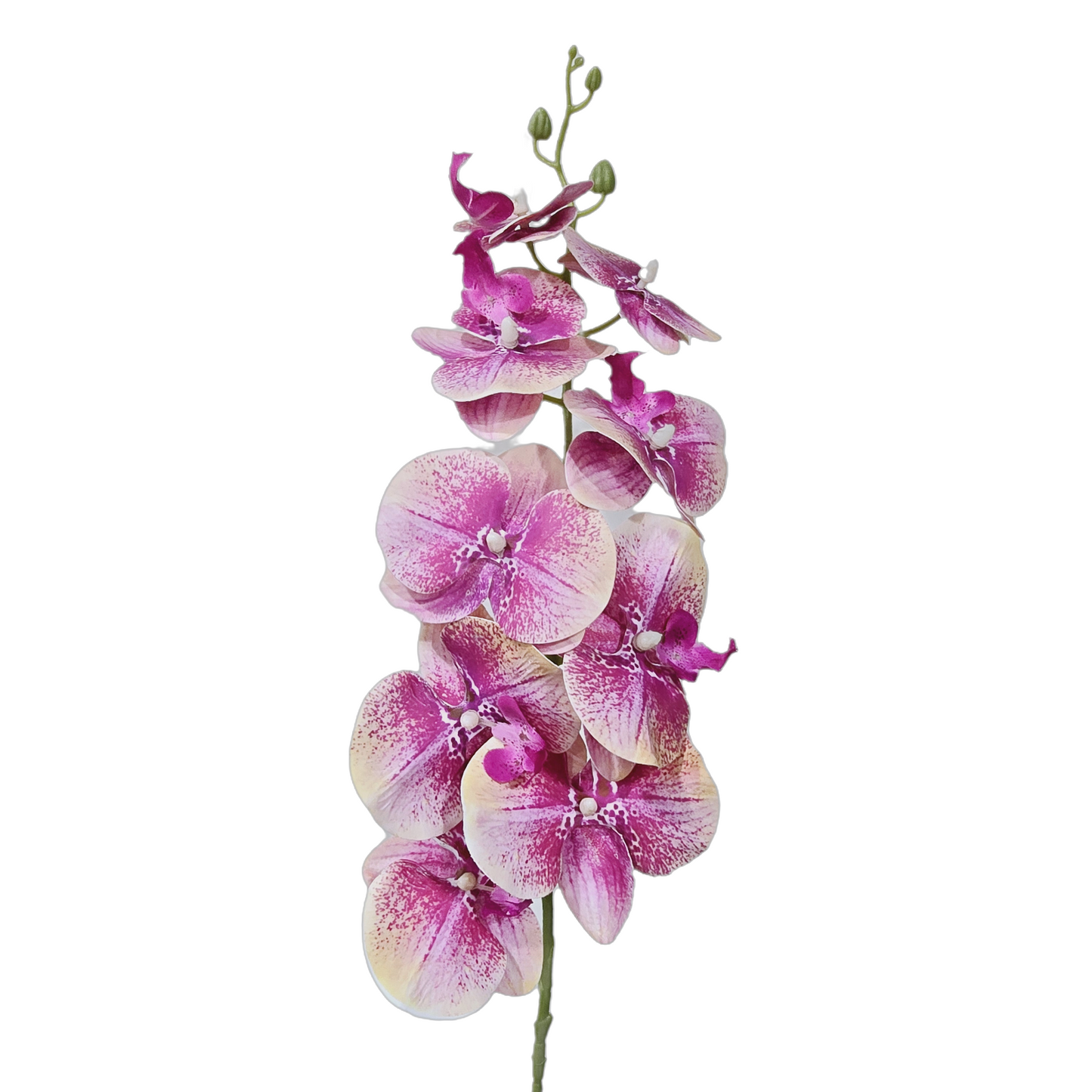 Faux Phalaenopsis Orchid #FF80