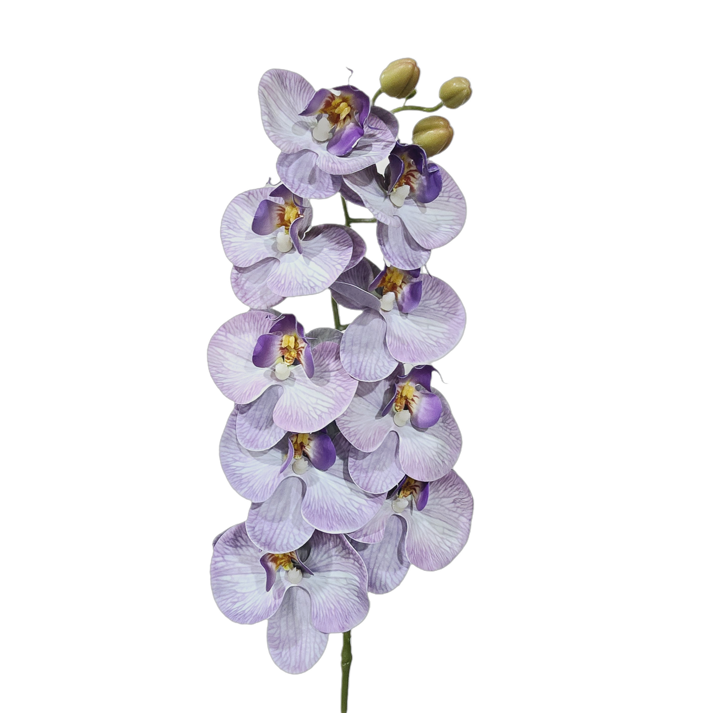 Faux Phalaenopsis Orchid #FF83