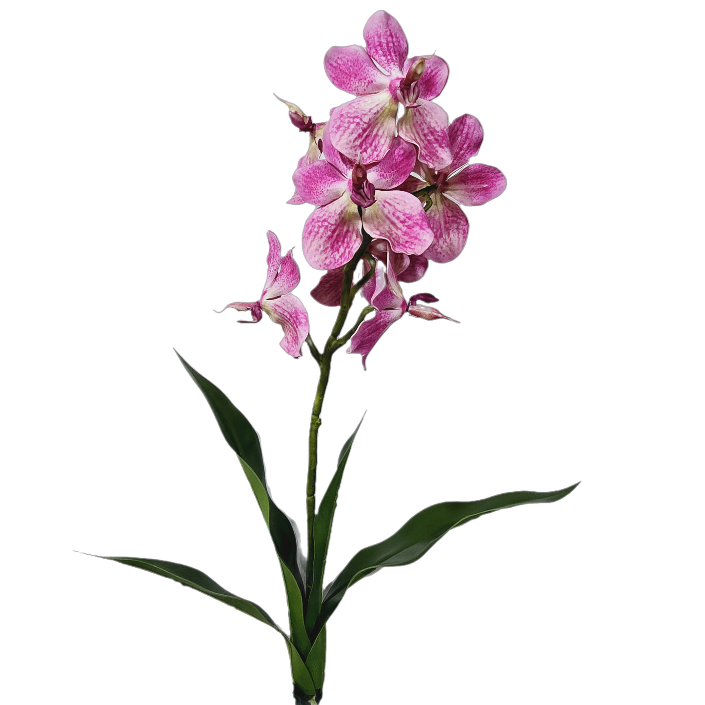 Faux Vanda Orchid #FF95