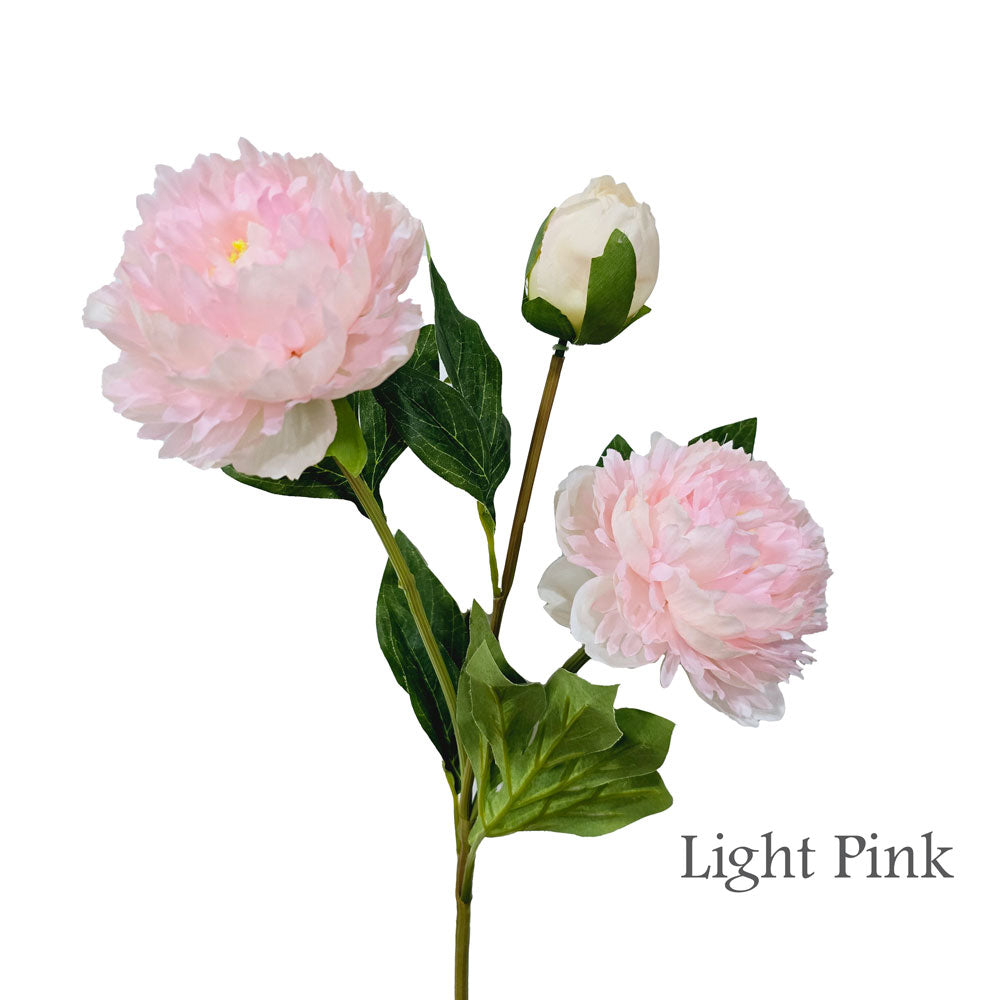 Faux 3 Heads Peony #FF99