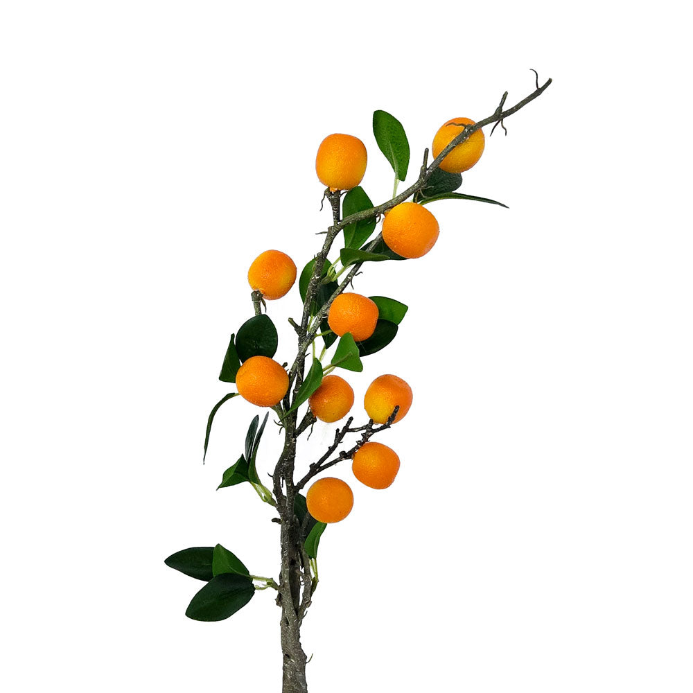 Faux Orange Branch #FFB6