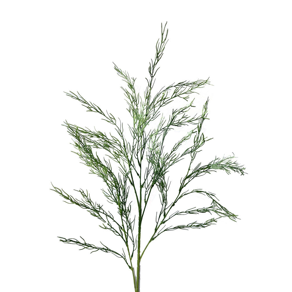 Faux Asparagus Fern #FFO100