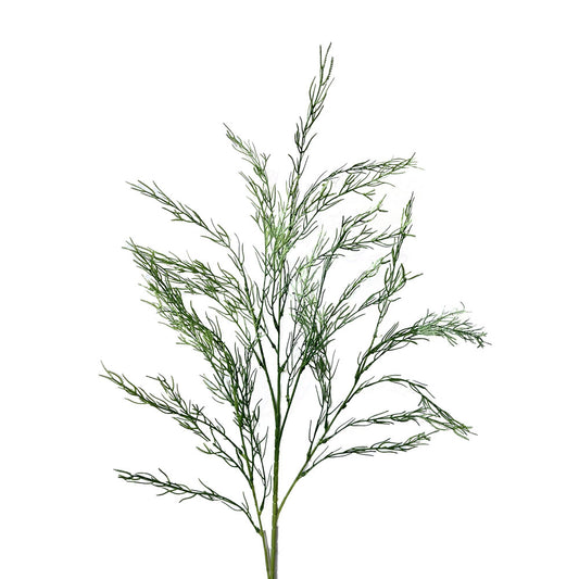 Faux Asparagus Fern #FFO100