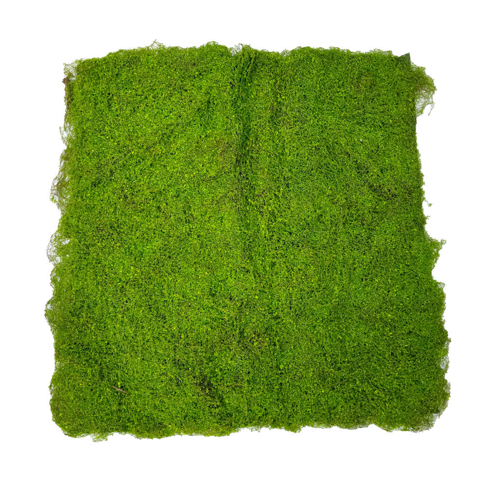 Faux Moss Carpet #FFO104