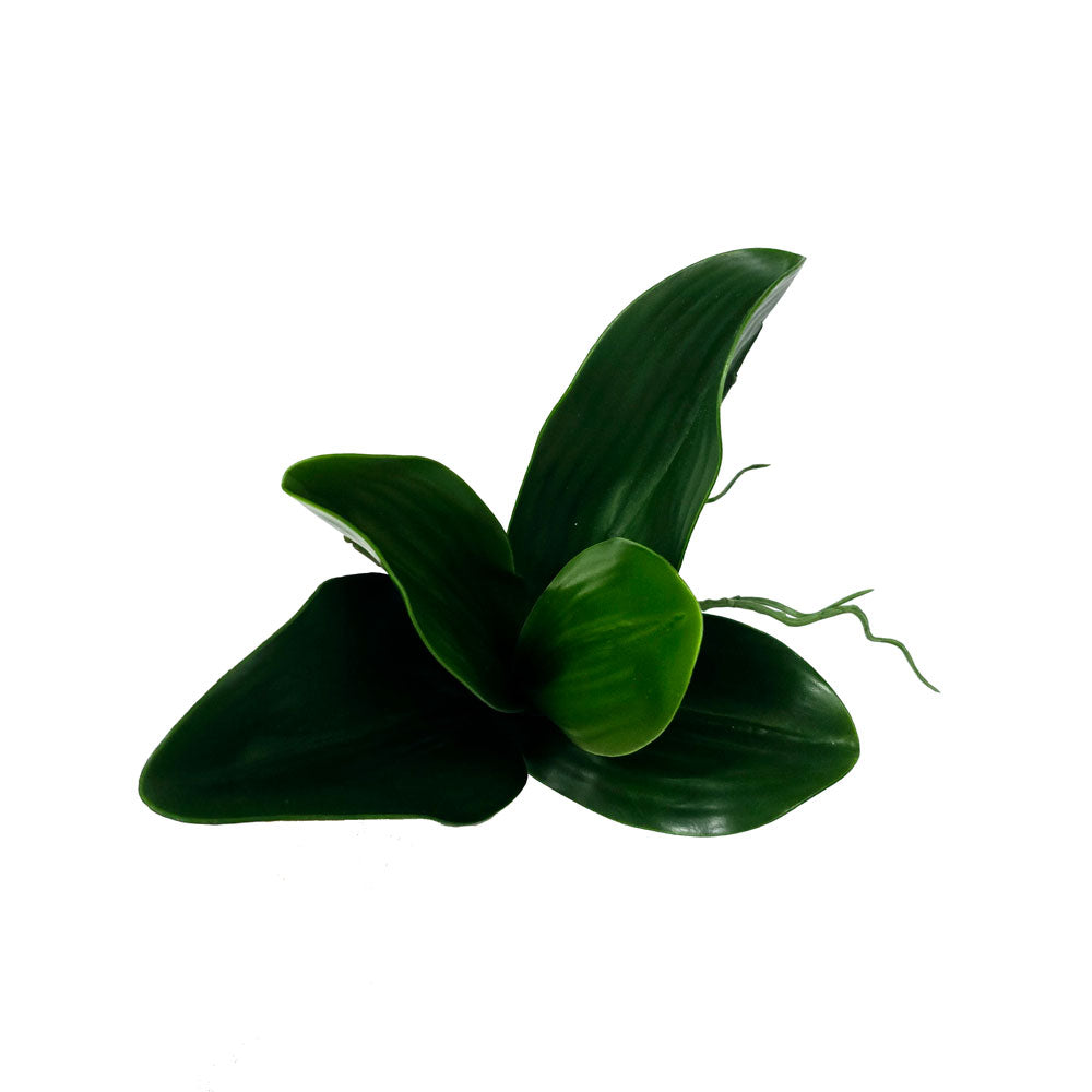 Faux Small Orchid Leaves #FFO108