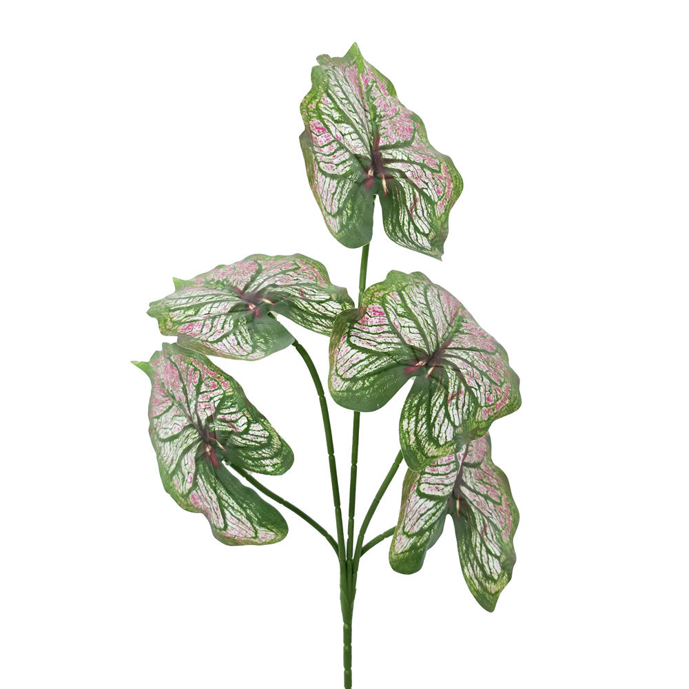 Faux Caladium Leaves #FFO114