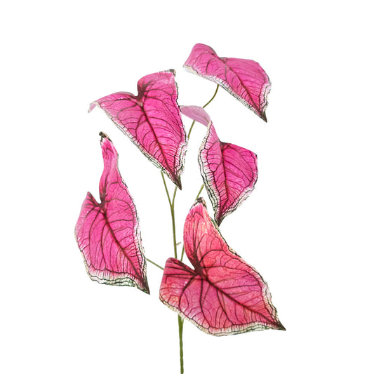 Faux Caladium Leaves #FFO115