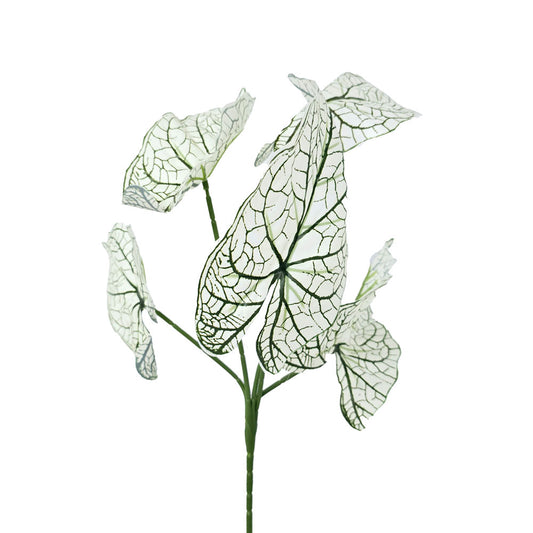 Faux Caladium Leaves #FFO116