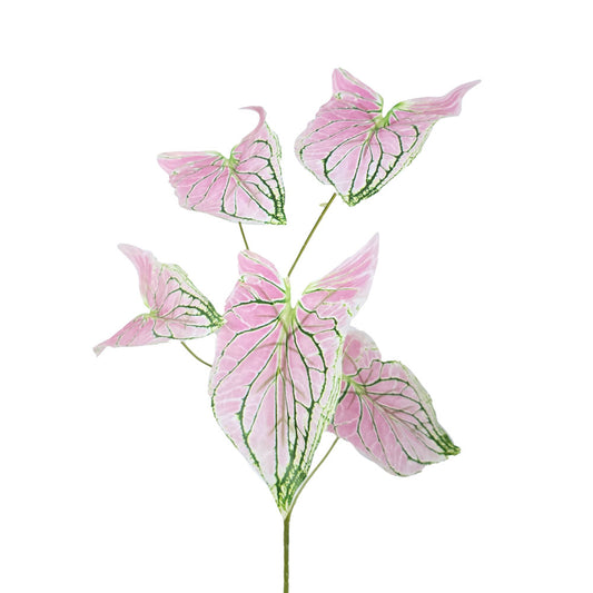 Faux Caladium Leaves #FFO117